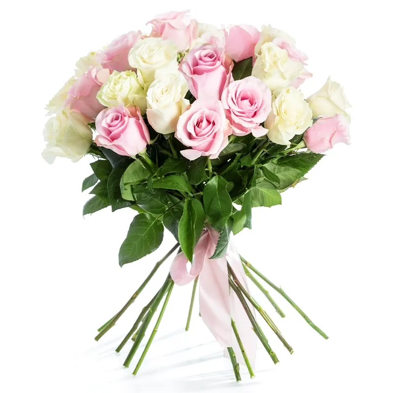 Букет из 21 розы белого и розового цвета (60 см)