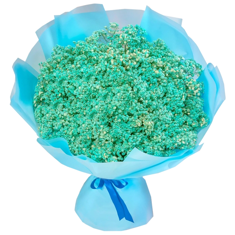 Букет из 51 голубой гипсофилы